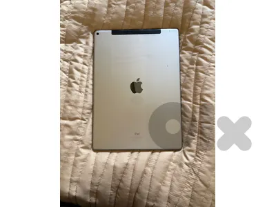 iPad Pro (12.9-inch)