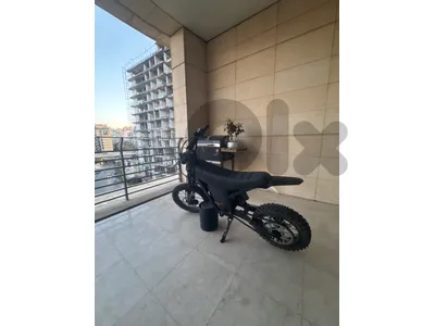 kugoo 01 se