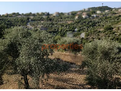 Land For Sale In Edde Batroun – CPJGN63 أرض للبيع في إده – البترون