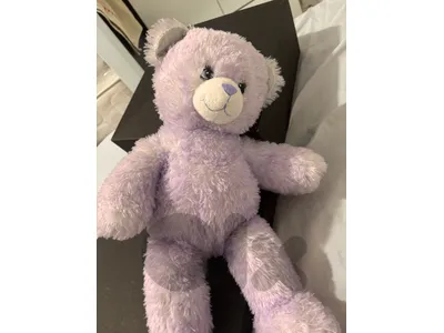 Bear Plushie