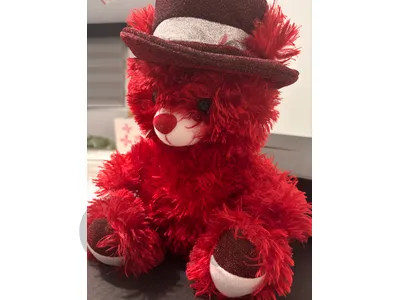 Bear Plushie