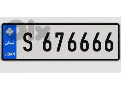 S676666