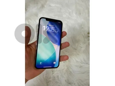 12 pro