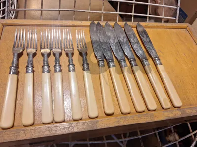 Vintage Silver Plate 12 Piece Fish Knife & Fork Set Ivory Color Handle Case Box