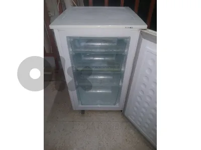 freezer inverter
