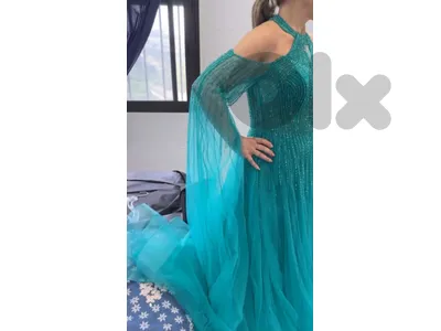 New Dress Cat Walk