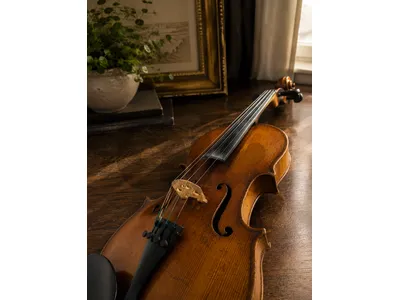 German Handmade Violin