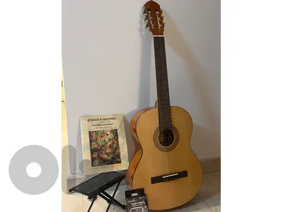 Guitar