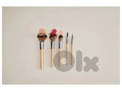 cien cosmetic brush set