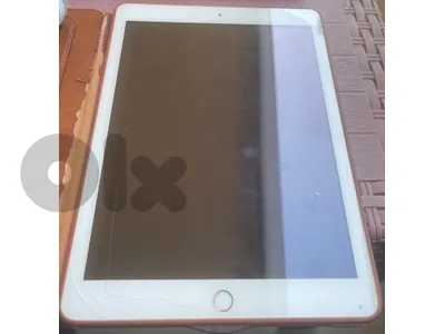 iPad (6th generation)