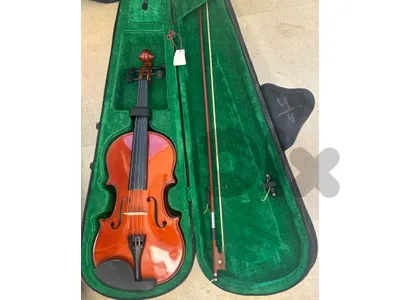 Violin