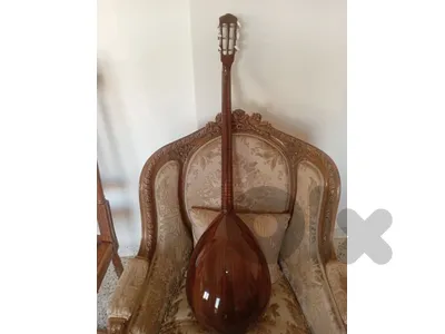 Arabic bouzouki