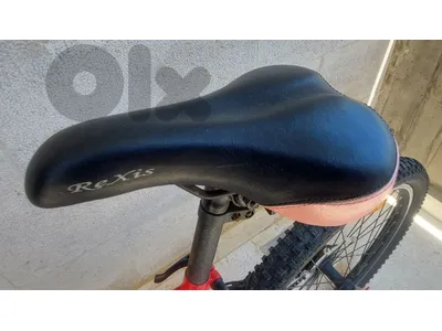 Rexis bike