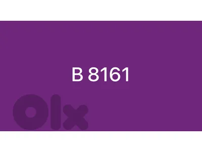 B8161
