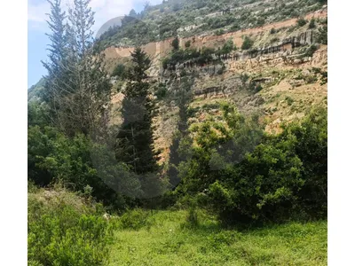 industrial land, great deal, Maaysrah, Keserouan/معيصرة REF#CL137220