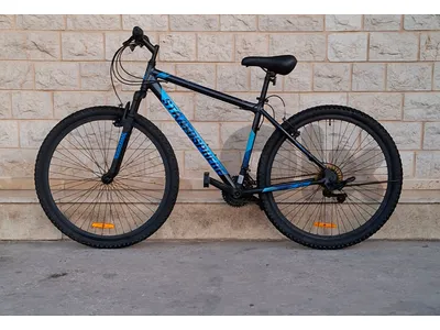 GOOD BIKE 29"