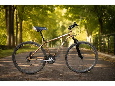 mountain bike size 29" kella tamem disk brake warra be3 aw tebdil