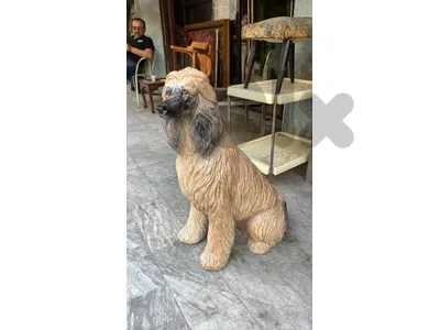Monumental Glazed Afghan Hound Figure, Made in Italy كلب بورسلان