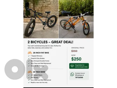2 bicycles for 250$,great deal!