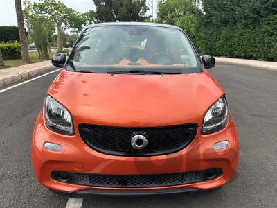 Smart forfour 2016 tourism