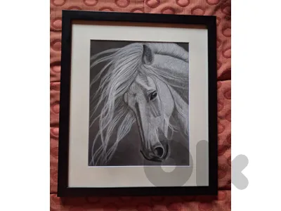 horse dry pastel painting لوحة حصان رسم يد