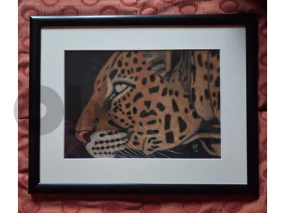 leopard dry pastel painting لوحة نمر رسم يد