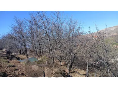 For sale Land in Tarchich