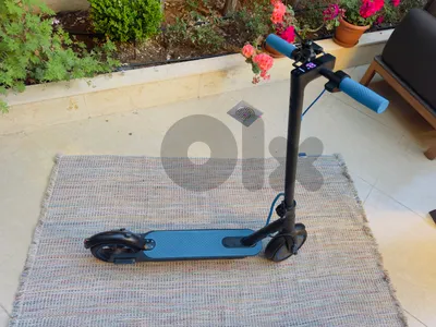 Electric Scooter Rohan Wings