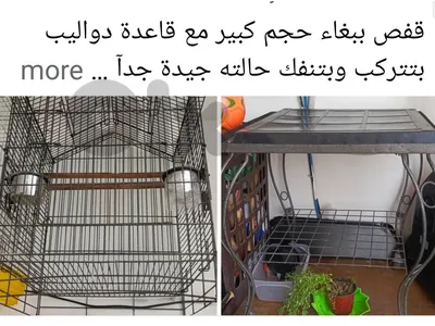 قفص ببغاء