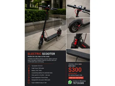 electric scooter
