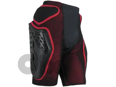 Alpinestars Bionic Freeride Shorts ( medium size )
