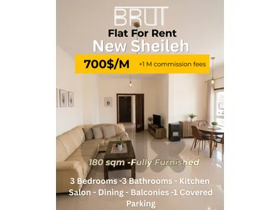Furnished Apartment for Rent in New Sheileh