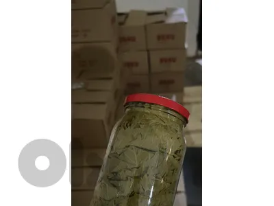 super extra grapes papers