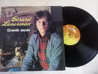 Gérard Lenorman – Grands Succès	 2 x Vinyl, LP, Compilation