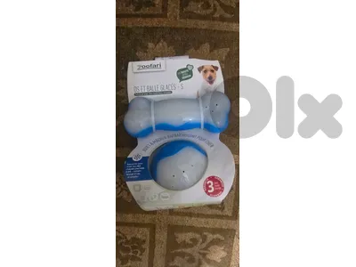 Dog accessories