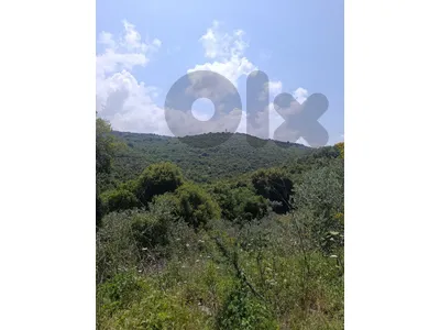 RWB104MA - Land for sale in Kour Batroun