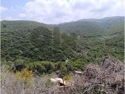RWB104MA - Land for sale in Kour Batroun