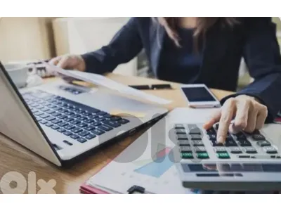 Accountant