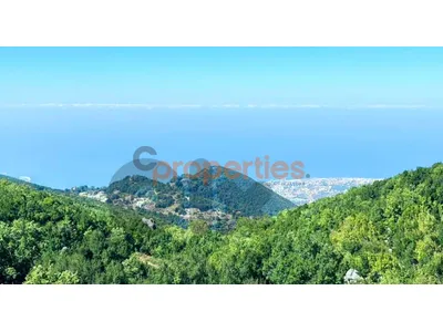 Land For Sale in Aachqout – أرض للبيع في عشقوت – CPESR04