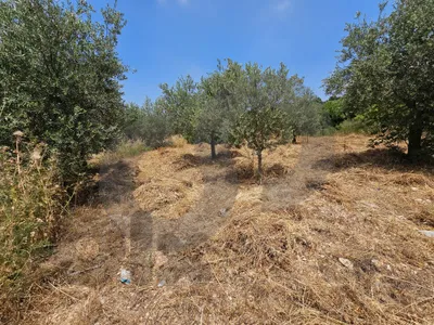Flat land, great deal, koura, Bhabouch /بحبوش، الكورة REF#PC137365