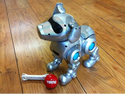 We help students Learn & Master Coding & Robotics through Play & Games