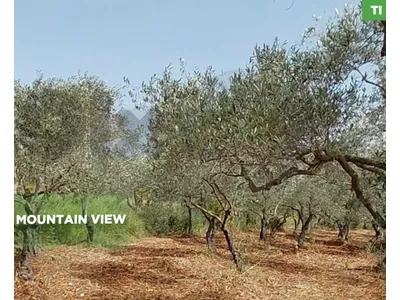 LAND/ أرض للبيع – كورة، كفرقاهل/Koura/ REF#TI137384 !