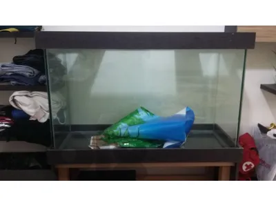 aquarium