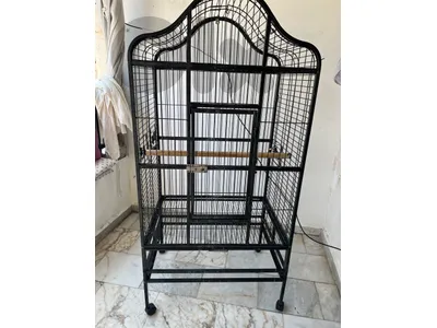 قفص حجم كبير حديد نضيف ١٥٠$ 03051704 قفص حجم كبير حديد نضيف ١٥٠$ 03051704