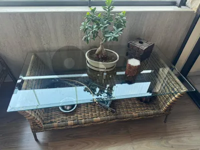 3 sofas and table