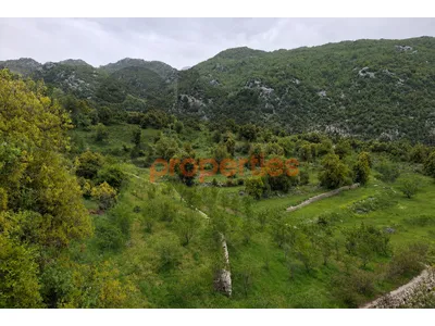 land for sale in ehmej – CPKCC76
