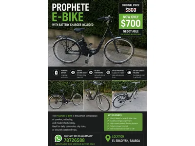 e bike