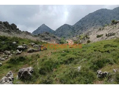 Land for Sale in Ehmej – CPKCC82
