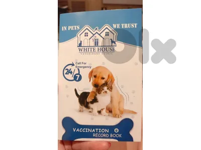 CHIHUAHUA PUPPY VACCINATED