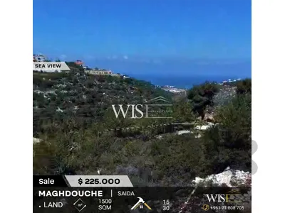 🌳 Prime 1,500 SQM Land for SALE in Maghdouché – Saida!
